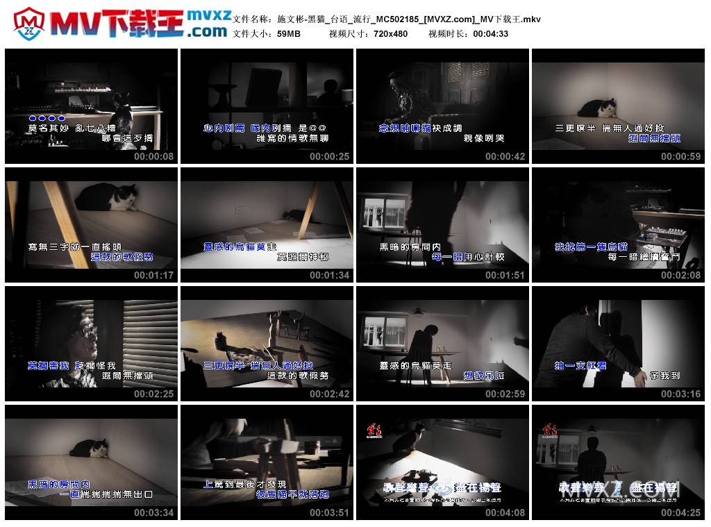 施文彬-黑猫_台语_流行_MC502185